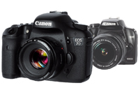 Bargain cameras