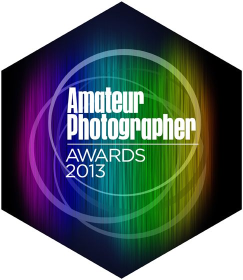 AP Awards 2013 logo