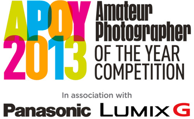 APOY 2013 logo