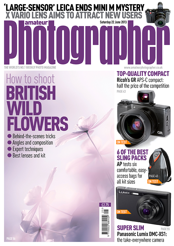 ap-cover-june22-2013 ap-cover-june22-2013