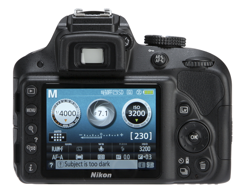 Nikon D3300 Review 8630