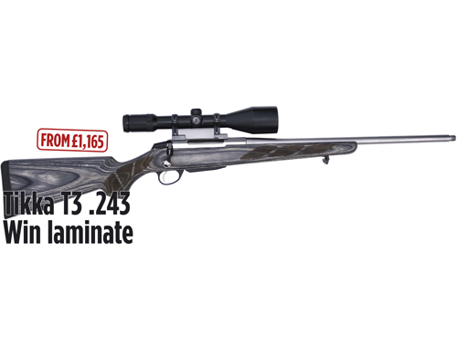 Tikka T3.243 Win laminate